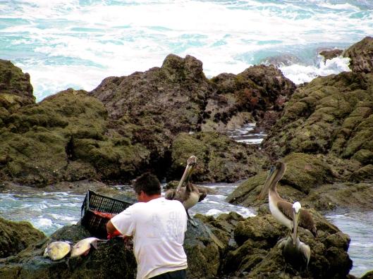 This fisherman is cleaning his catch.  The birds wait for a share.  He doesn't disappoint them